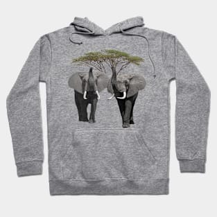 Elephants with a tree on safari in Kenya / Afrika Hoodie